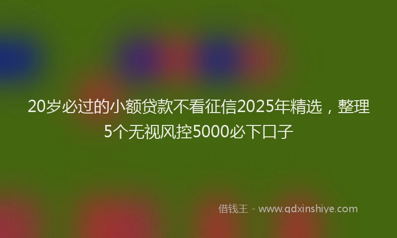 20岁必过的小额贷款不看征信2025年精选，整理5个无视风控5000必下口子