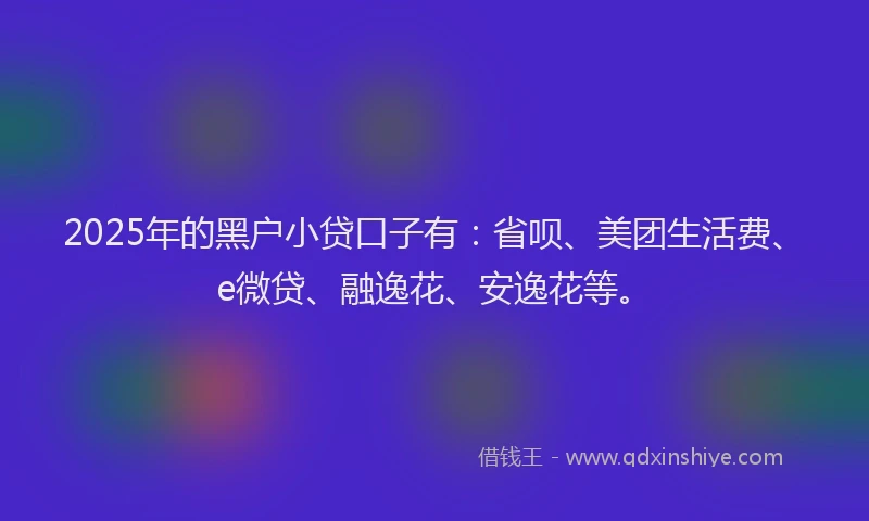 2025年的黑户小贷口子有：省呗、美团生活费、e微贷、融逸花、安逸花等。