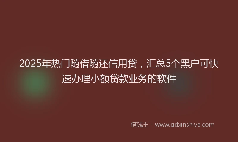 2025年热门随借随还信用贷，汇总5个黑户可快速办理小额贷款业务的软件