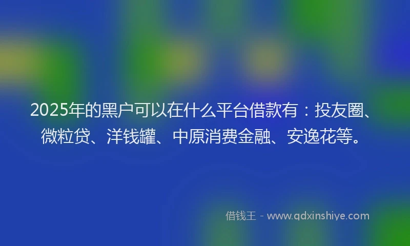 2025年的黑户可以在什么平台借款有：投友圈、微粒贷、洋钱罐、中原消费金融、安逸花等。