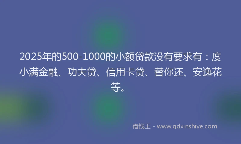 2025年的500-1000的小额贷款没有要求有：度小满金融、功夫贷、信用卡贷、替你还、安逸花等。