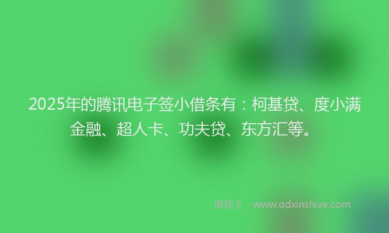 2025年的腾讯电子签小借条有：柯基贷、度小满金融、超人卡、功夫贷、东方汇等。