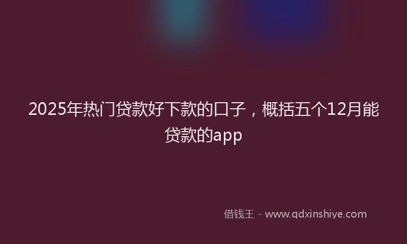 2025年热门贷款好下款的口子，概括五个12月能贷款的app