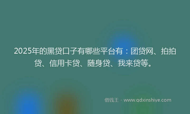 2025年的黑贷口子有哪些平台有：团贷网、拍拍贷、信用卡贷、随身贷、我来贷等。