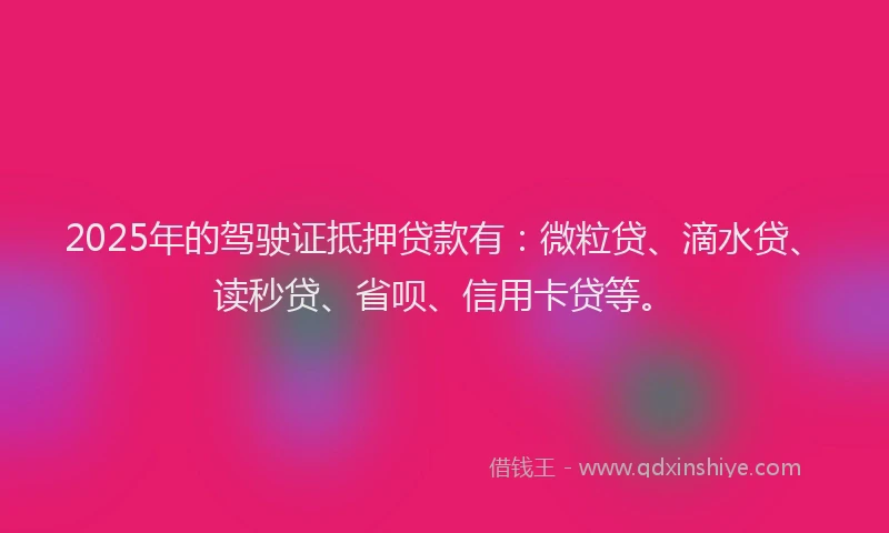 2025年的驾驶证抵押贷款有：微粒贷、滴水贷、读秒贷、省呗、信用卡贷等。
