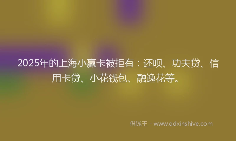 2025年的上海小赢卡被拒有：还呗、功夫贷、信用卡贷、小花钱包、融逸花等。