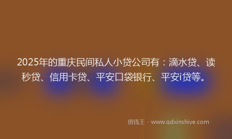 2025年的重庆民间私人小贷公司有：滴水贷、读秒贷、信用卡贷、平安口袋银行、平安i贷等。