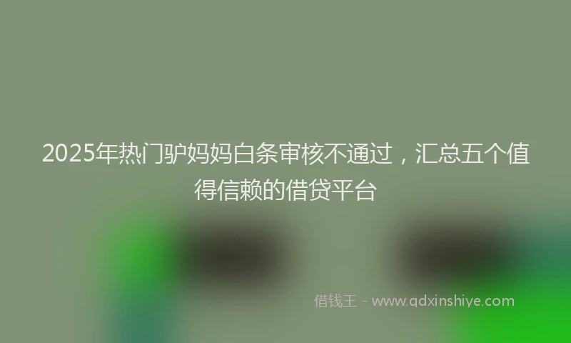 2025年热门驴妈妈白条审核不通过，汇总五个值得信赖的借贷平台