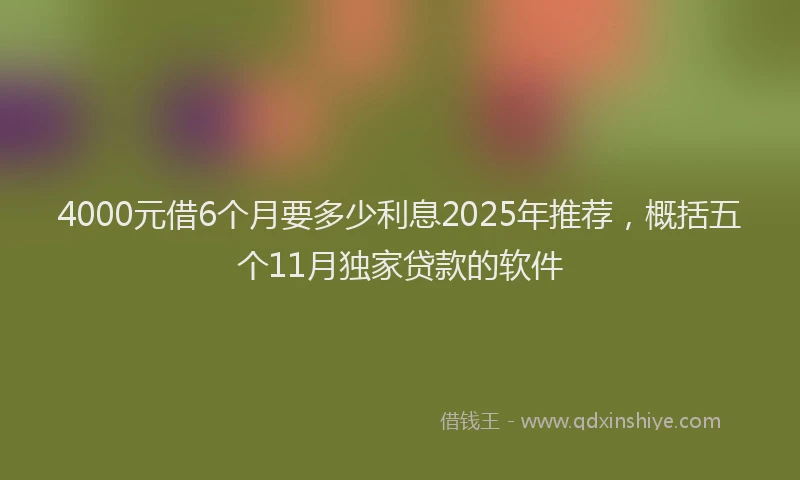 4000元借6个月要多少利息2025年推荐，概括五个11月独家贷款的软件
