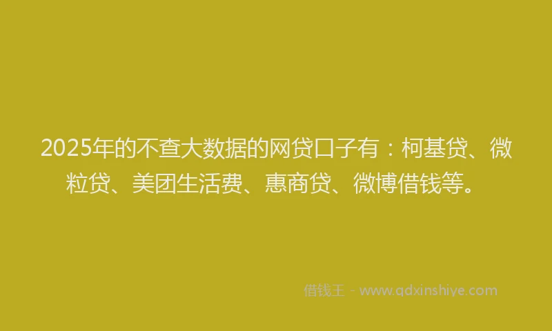 2025年的不查大数据的网贷口子有：柯基贷、微粒贷、美团生活费、惠商贷、微博借钱等。