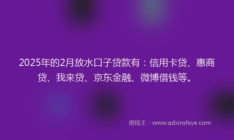 2025年的2月放水口子贷款有：信用卡贷、惠商贷、我来贷、京东金融、微博借钱等。