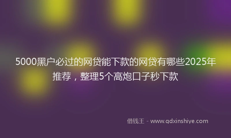 5000黑户必过的网贷能下款的网贷有哪些2025年推荐，整理5个高炮口子秒下款