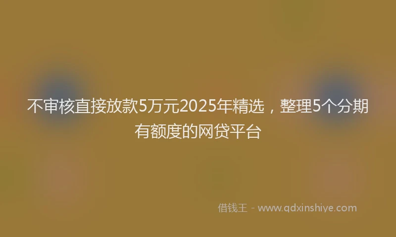 不审核直接放款5万元2025年精选，整理5个分期有额度的网贷平台