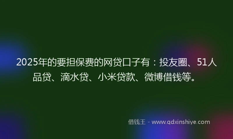 2025年的要担保费的网贷口子有：投友圈、51人品贷、滴水贷、小米贷款、微博借钱等。