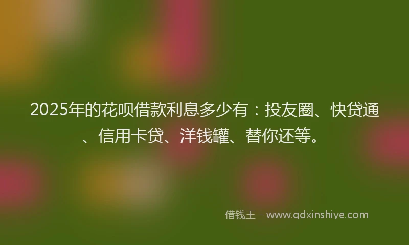 2025年的花呗借款利息多少有：投友圈、快贷通、信用卡贷、洋钱罐、替你还等。