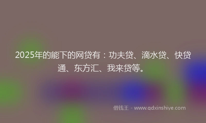 2025年的能下的网贷有：功夫贷、滴水贷、快贷通、东方汇、我来贷等。