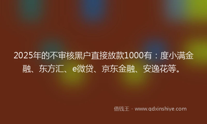 2025年的不审核黑户直接放款1000有：度小满金融、东方汇、e微贷、京东金融、安逸花等。