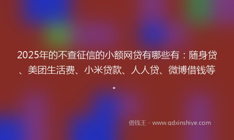 2025年的不查征信的小额网贷有哪些有：随身贷、美团生活费、小米贷款、人人贷、微博借钱等。