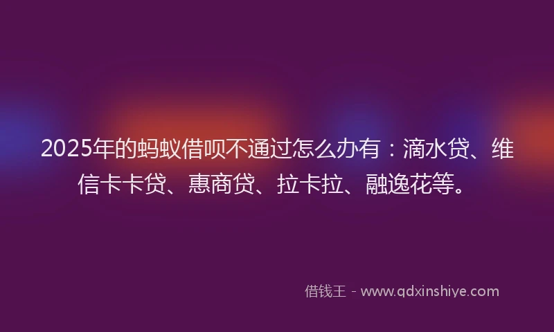 2025年的蚂蚁借呗不通过怎么办有：滴水贷、维信卡卡贷、惠商贷、拉卡拉、融逸花等。