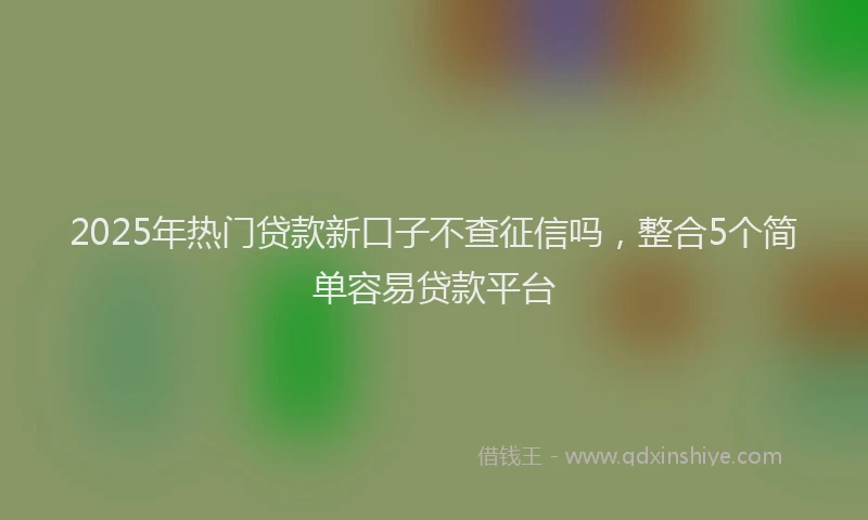 2025年热门贷款新口子不查征信吗，整合5个简单容易贷款平台