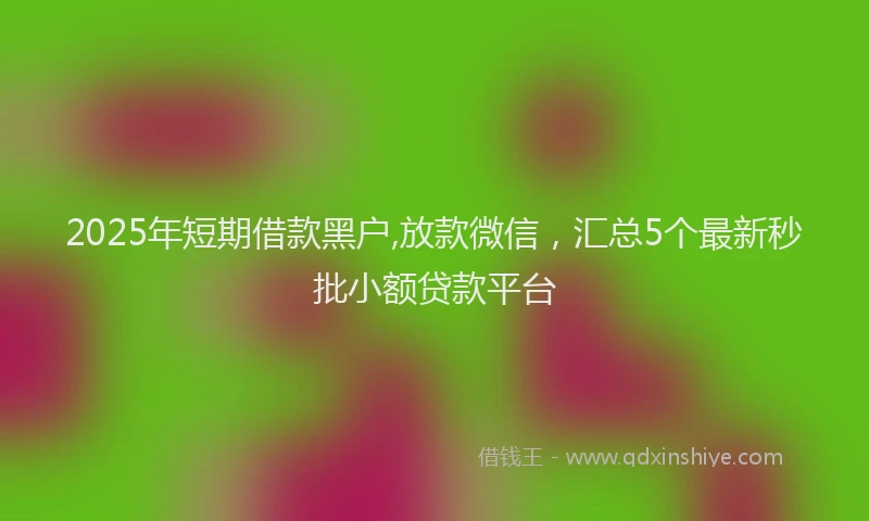 2025年短期借款黑户,放款微信，汇总5个最新秒批小额贷款平台