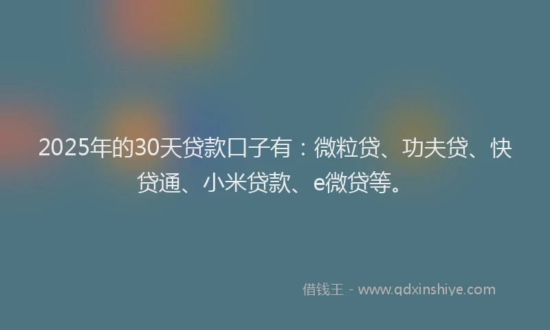 2025年的30天贷款口子有：微粒贷、功夫贷、快贷通、小米贷款、e微贷等。