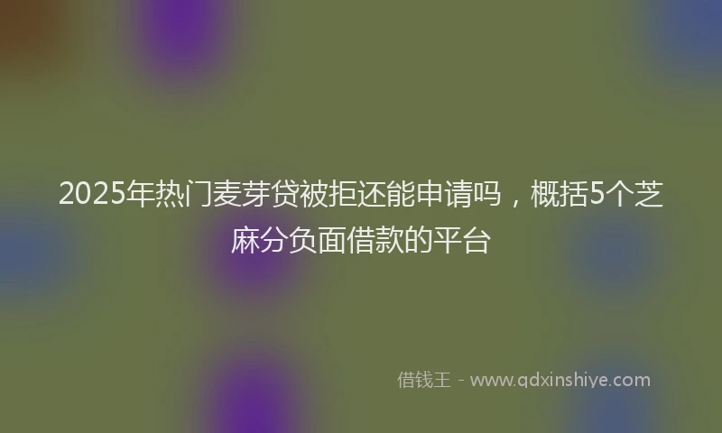 2025年热门麦芽贷被拒还能申请吗，概括5个芝麻分负面借款的平台