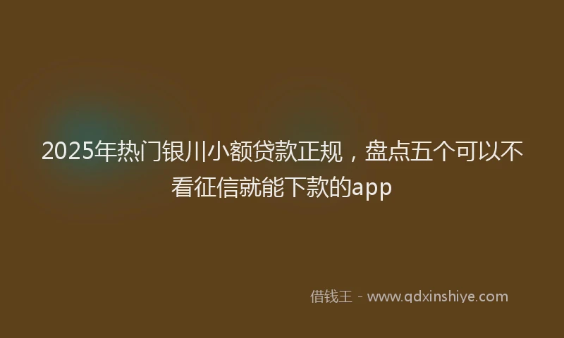 2025年热门银川小额贷款正规，盘点五个可以不看征信就能下款的app