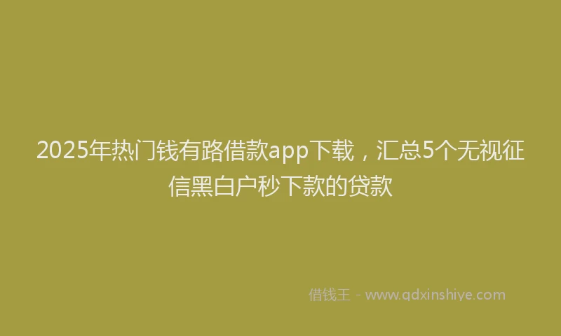 2025年热门钱有路借款app下载，汇总5个无视征信黑白户秒下款的贷款
