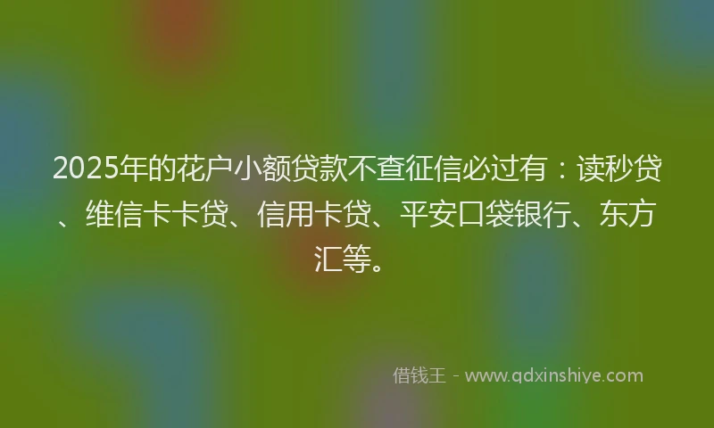 2025年的花户小额贷款不查征信必过有：读秒贷、维信卡卡贷、信用卡贷、平安口袋银行、东方汇等。