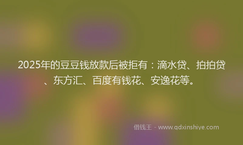 2025年的豆豆钱放款后被拒有：滴水贷、拍拍贷、东方汇、百度有钱花、安逸花等。