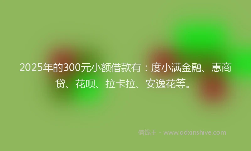 2025年的300元小额借款有：度小满金融、惠商贷、花呗、拉卡拉、安逸花等。