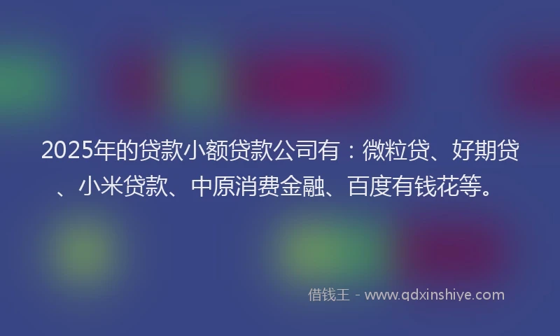 2025年的贷款小额贷款公司有：微粒贷、好期贷、小米贷款、中原消费金融、百度有钱花等。