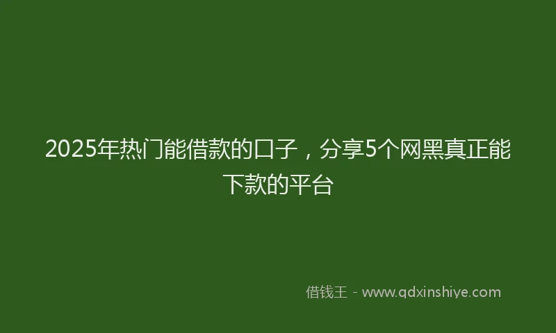 2025年热门能借款的口子，分享5个网黑真正能下款的平台