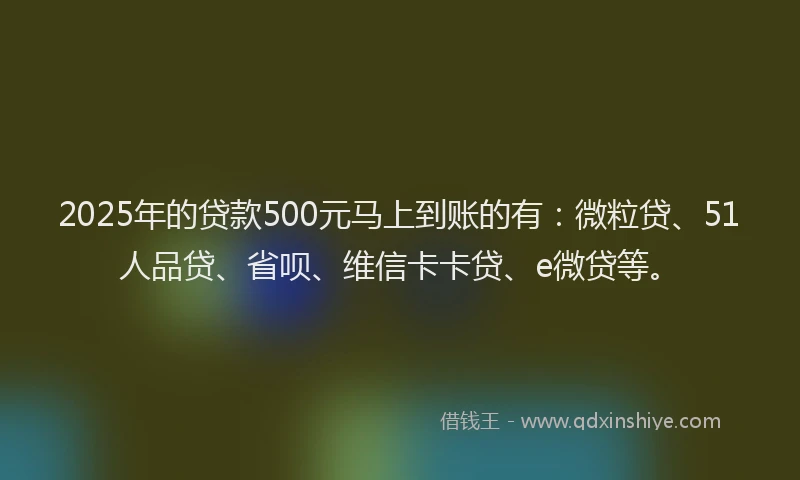 2025年的贷款500元马上到账的有：微粒贷、51人品贷、省呗、维信卡卡贷、e微贷等。