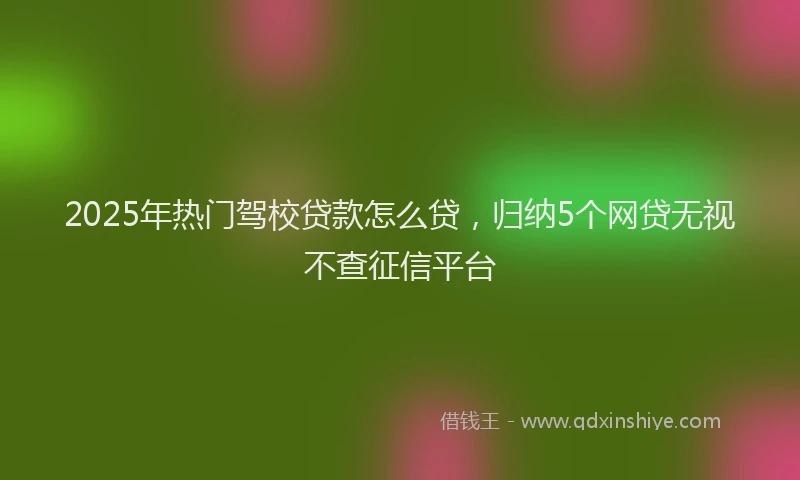 2025年热门驾校贷款怎么贷，归纳5个网贷无视不查征信平台