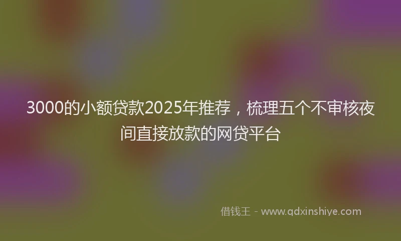 3000的小额贷款2025年推荐，梳理五个不审核夜间直接放款的网贷平台