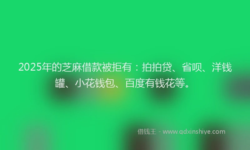 2025年的芝麻借款被拒有：拍拍贷、省呗、洋钱罐、小花钱包、百度有钱花等。