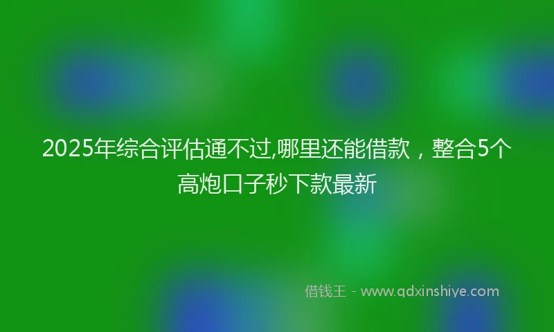 2025年综合评估通不过,哪里还能借款，整合5个高炮口子秒下款最新