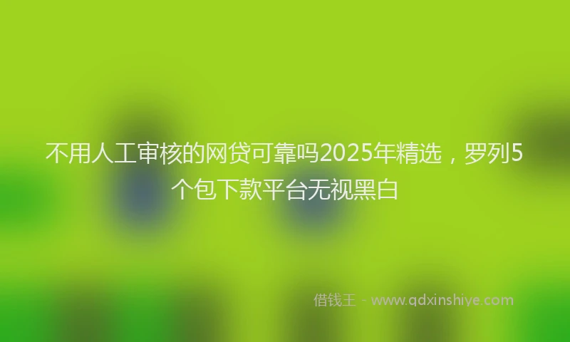 不用人工审核的网贷可靠吗2025年精选，罗列5个包下款平台无视黑白