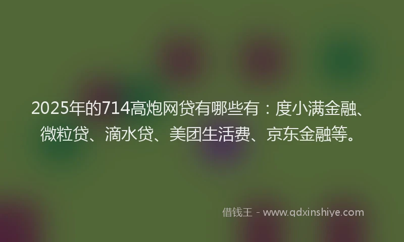 2025年的714高炮网贷有哪些有：度小满金融、微粒贷、滴水贷、美团生活费、京东金融等。