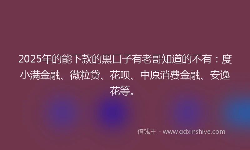 2025年的能下款的黑口子有老哥知道的不有：度小满金融、微粒贷、花呗、中原消费金融、安逸花等。