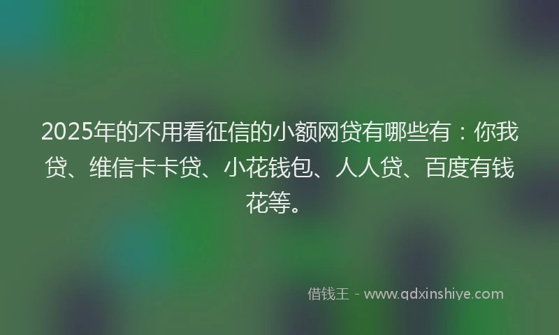 2025年的不用看征信的小额网贷有哪些有：你我贷、维信卡卡贷、小花钱包、人人贷、百度有钱花等。