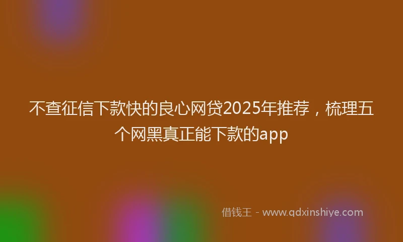 不查征信下款快的良心网贷2025年推荐，梳理五个网黑真正能下款的app
