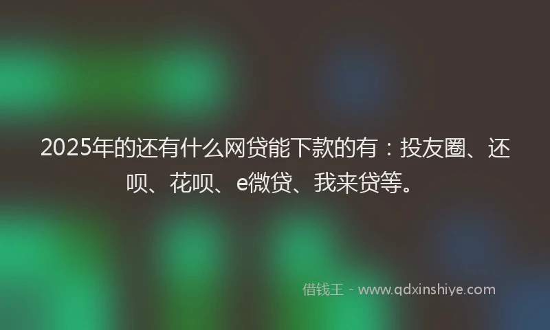 2025年的还有什么网贷能下款的有：投友圈、还呗、花呗、e微贷、我来贷等。
