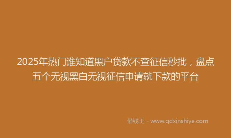 2025年热门谁知道黑户贷款不查征信秒批，盘点五个无视黑白无视征信申请就下款的平台