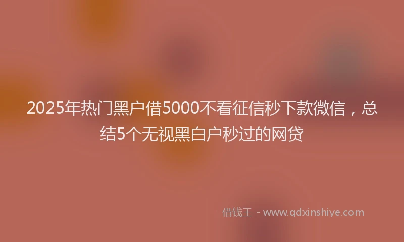 2025年热门黑户借5000不看征信秒下款微信，总结5个无视黑白户秒过的网贷