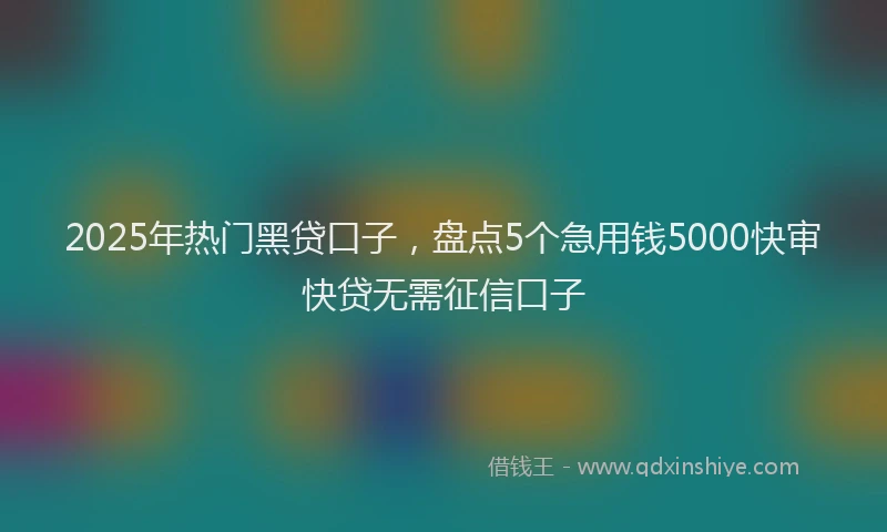 2025年热门黑贷口子，盘点5个急用钱5000快审快贷无需征信口子