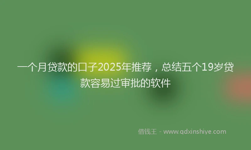 一个月贷款的口子2025年推荐，总结五个19岁贷款容易过审批的软件