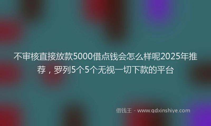 不审核直接放款5000借点钱会怎么样呢2025年推荐，罗列5个5个无视一切下款的平台